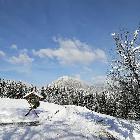 Apartma Lesjak - Pobeg V Naravo 2 * Smihel nad Mozirjem