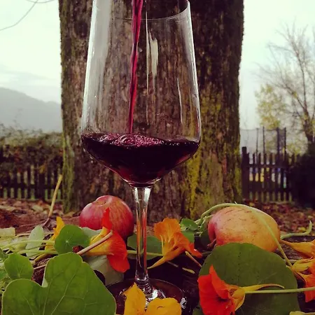 Apartma Lesjak - Pobeg V Naravo 2 *