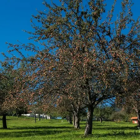 Apartma Lesjak - Pobeg V Naravo 2 *