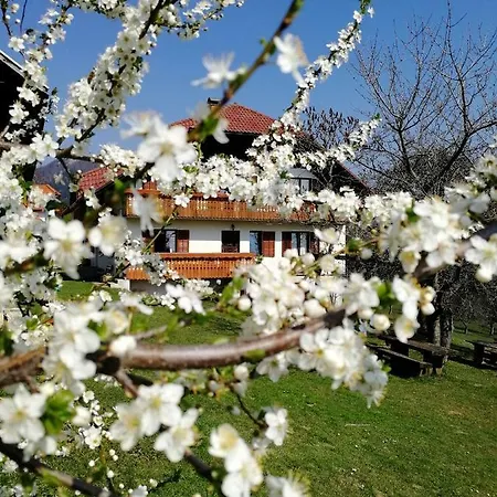 Bivanje na kmetiji Apartma Lesjak - Pobeg V Naravo 2 Smihel nad Mozirjem