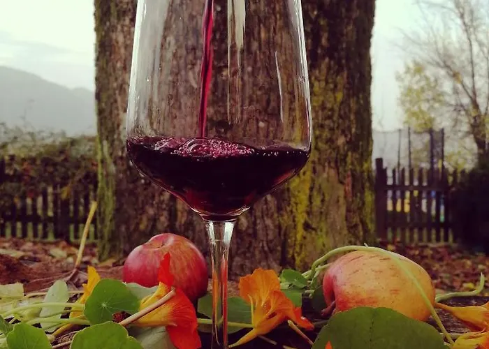 Apartma Lesjak - Pobeg V Naravo 2 *