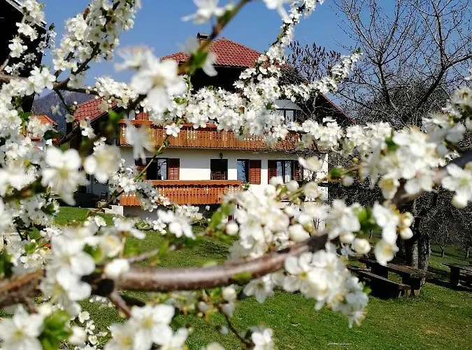 Vakantieboerderij Apartma Lesjak - Pobeg V Naravo 2 Smihel nad Mozirjem